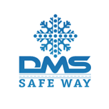 логоип «DMS safe way»